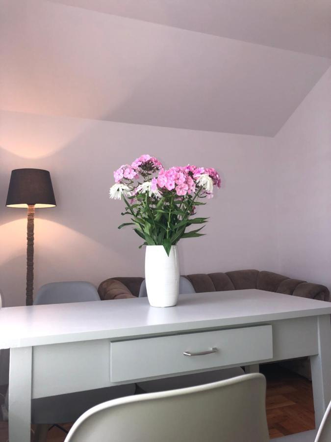 Apartament Lapacz Snow Tylicz Exterior photo
